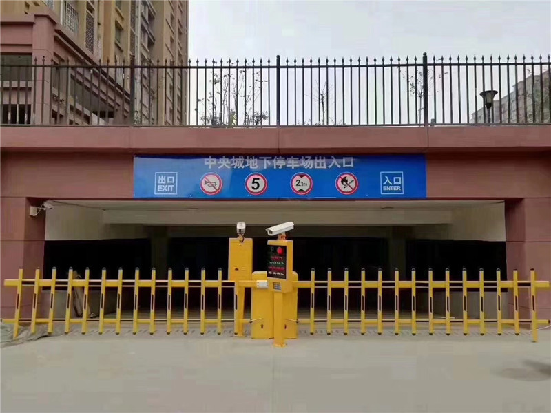 中央城车牌识别系统